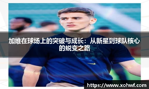 天博体育官网入口