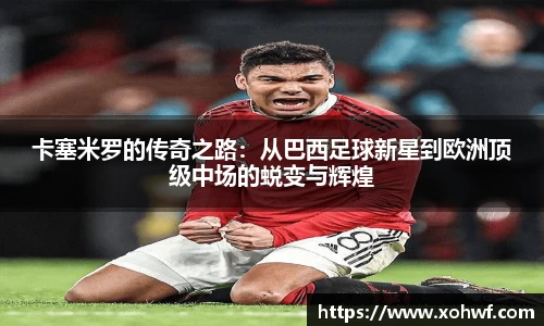 天博体育官方平台入口