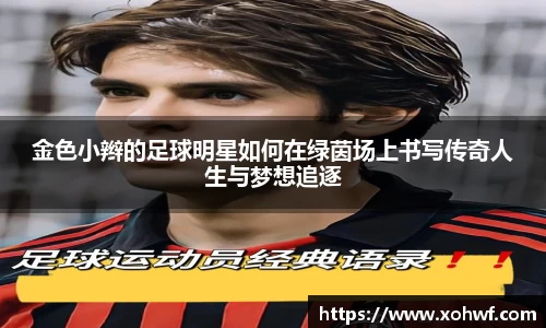 天博官网入口首页